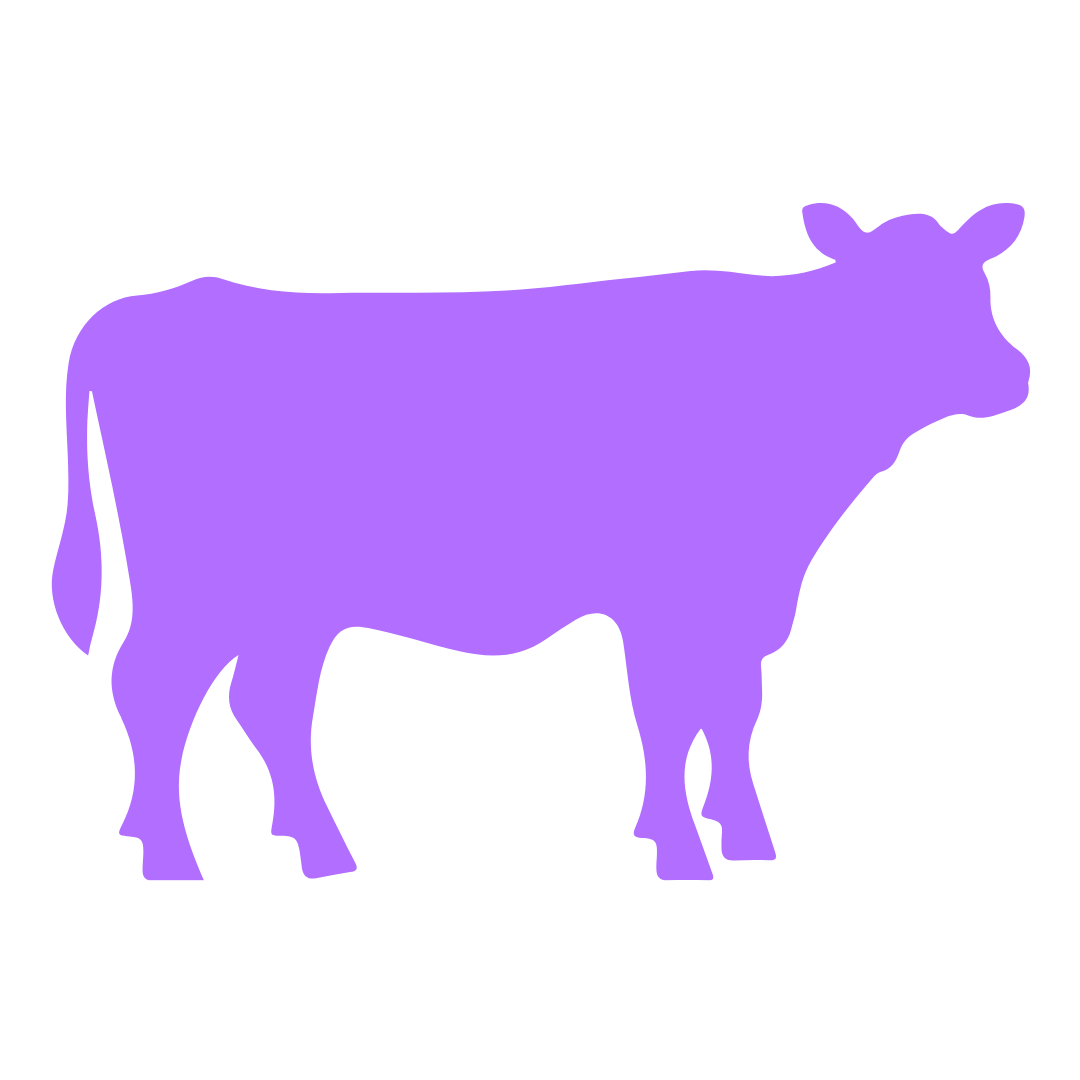 Ox
