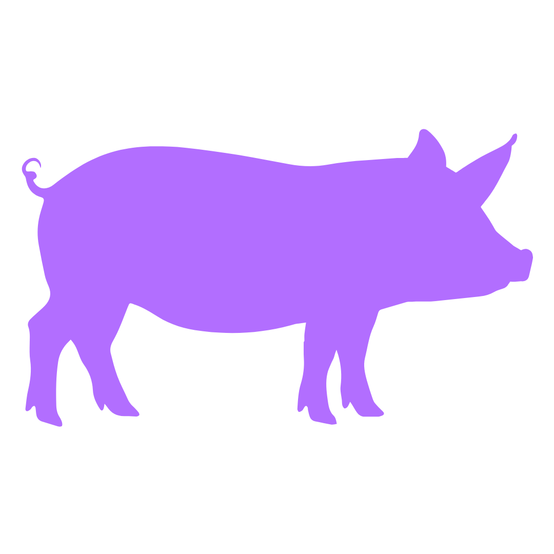 Pig