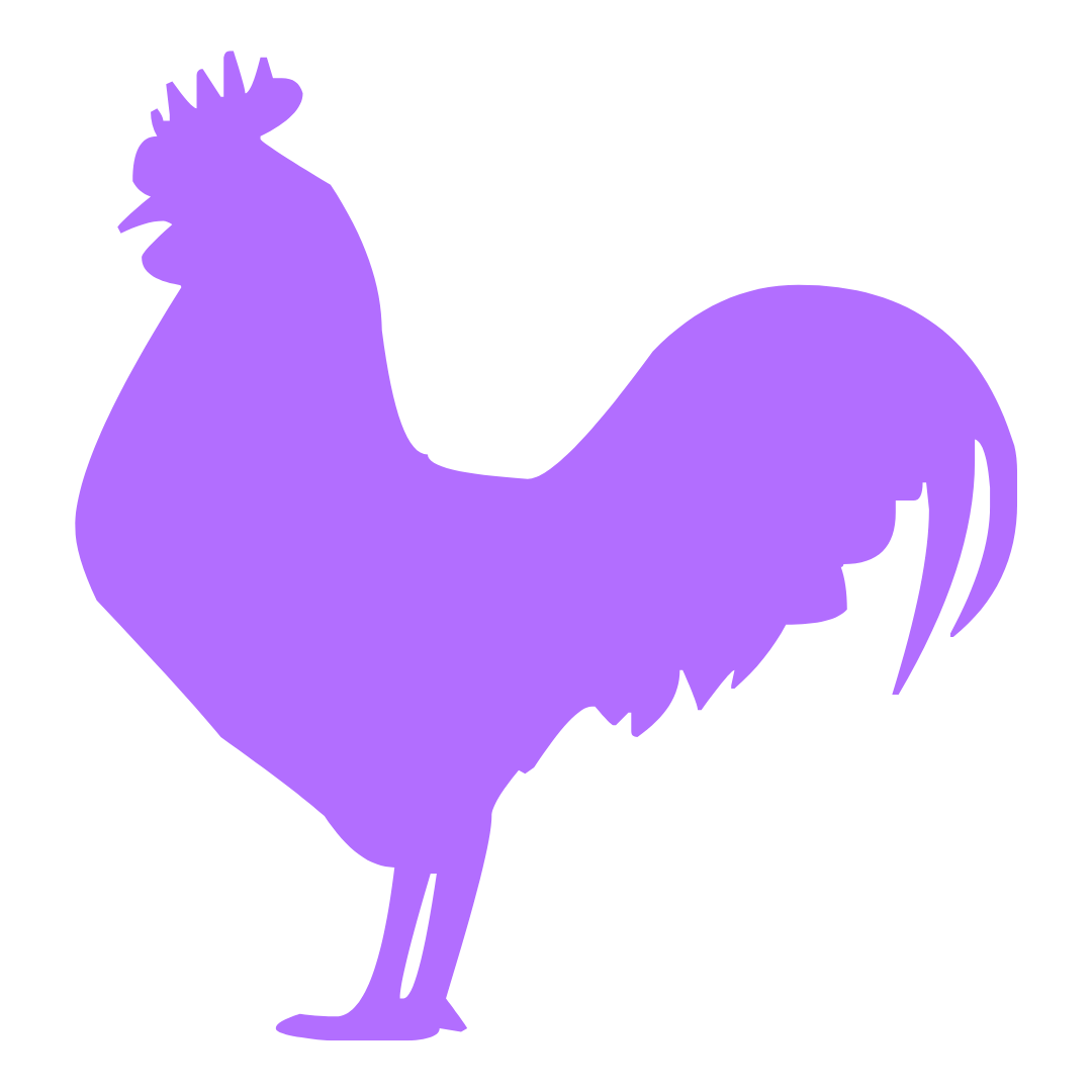Rooster